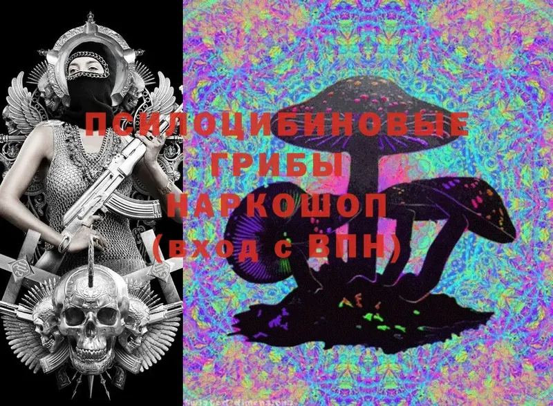 Галлюциногенные грибы Magic Shrooms  Грязовец 